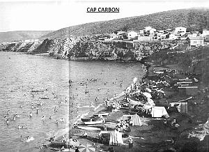 Cap carbon 01